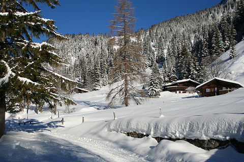 Zoom: Winter at Golderli