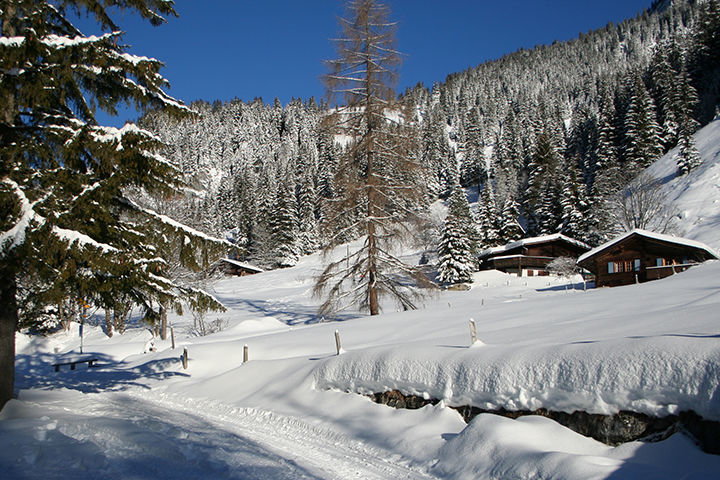 Zoom: Winter beim Golderli