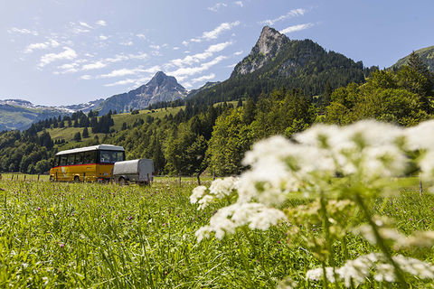 Zoom: Yellow bus at «Tschingel»