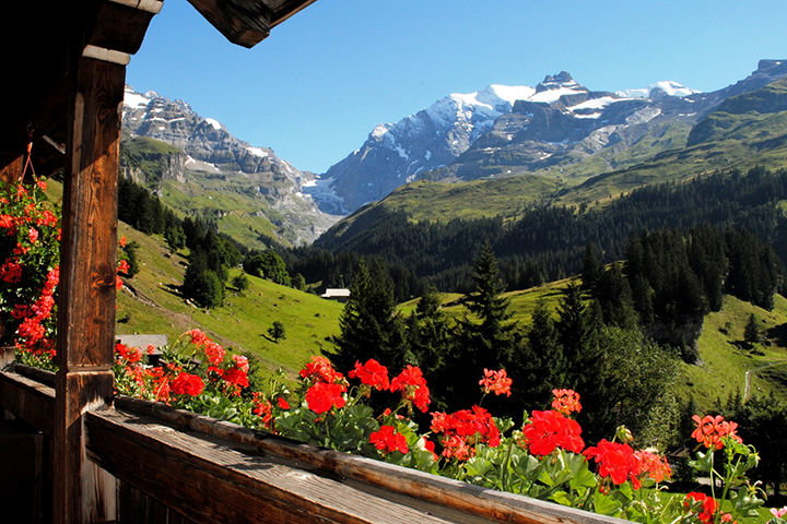 Zoom: View towards «Gamchilücke» from Naturfreundehaus