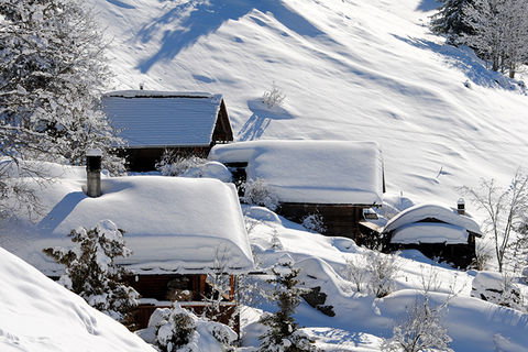 Zoom: Gornern in winter