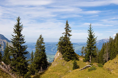 Zoom: View towards Thunersee