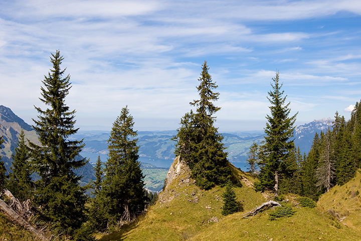 Zoom: Aussicht zum Thunersee