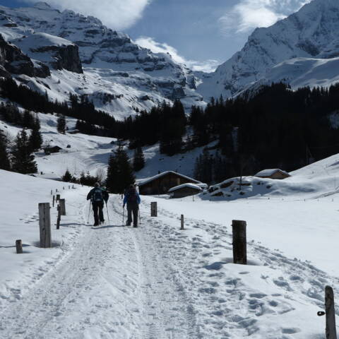 Zoom: Zwischen Golderli und Steineberg